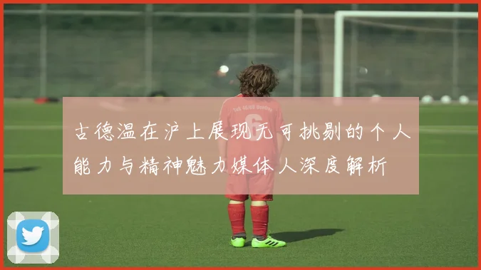 古德温在沪上展现无可挑剔的个人能力与精神魅力媒体人深度解析